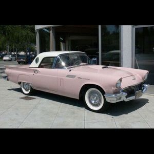 Meet your Posher, Morgyn